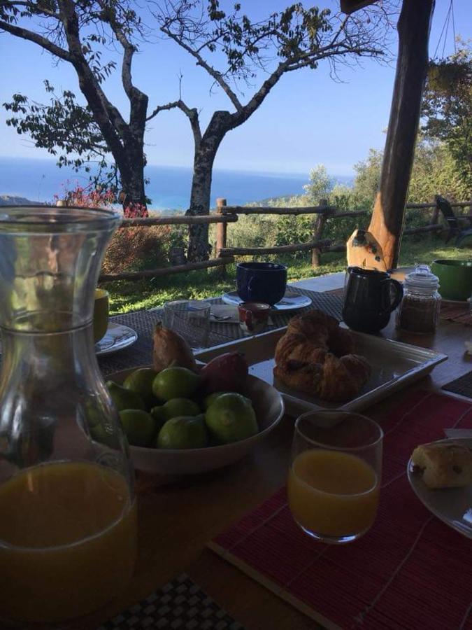 Tortorella Masseria Cata Catascia Bed & Breakfast エクステリア 写真