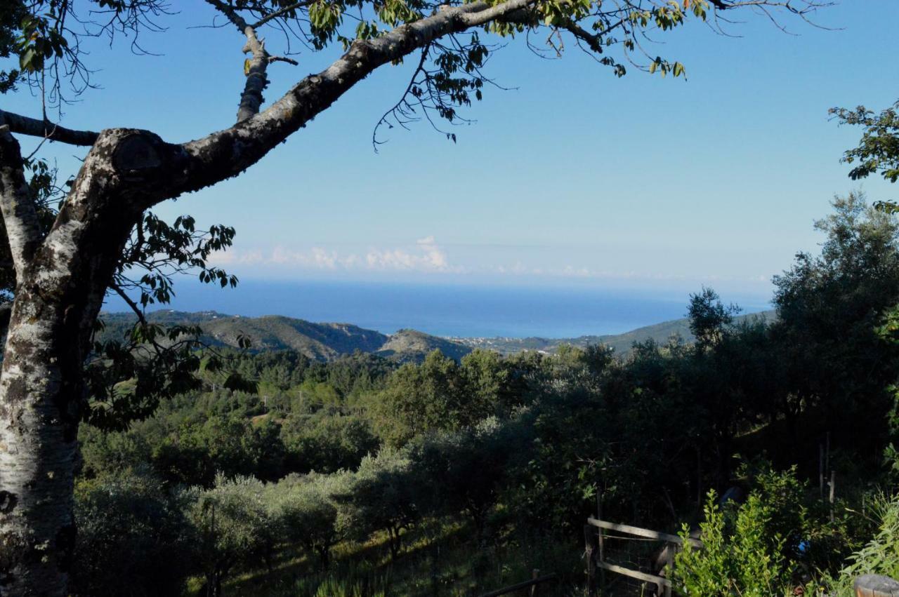 Tortorella Masseria Cata Catascia Bed & Breakfast エクステリア 写真