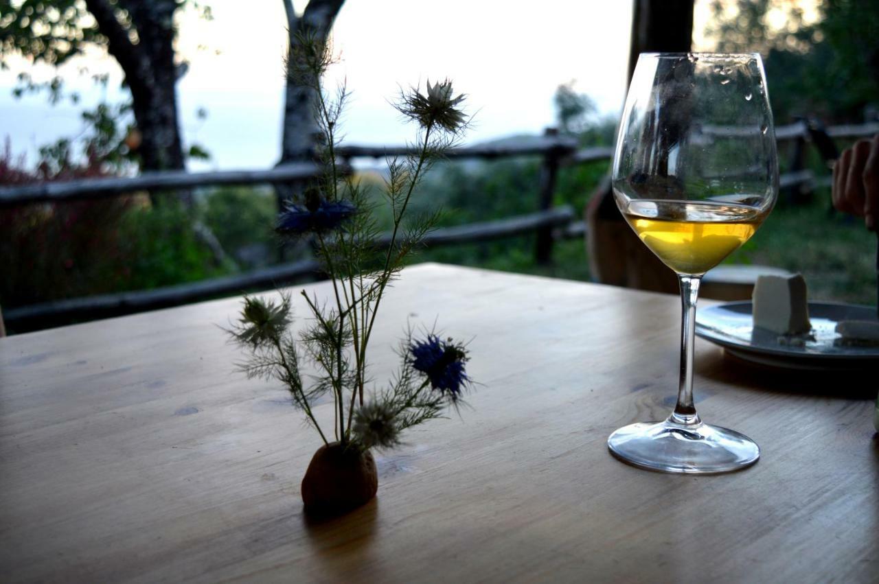 Tortorella Masseria Cata Catascia Bed & Breakfast エクステリア 写真