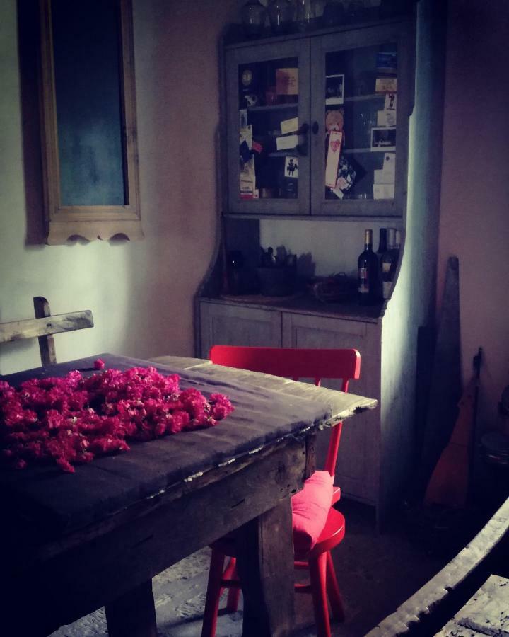 Tortorella Masseria Cata Catascia Bed & Breakfast エクステリア 写真