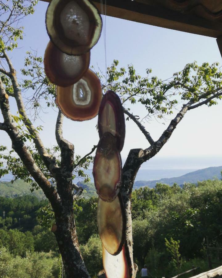 Tortorella Masseria Cata Catascia Bed & Breakfast エクステリア 写真